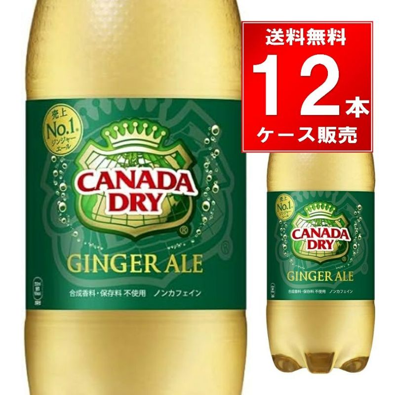 コカ・コーラ カナダドライジンジャーエール ペットボトル 1.5L 12本/2ケース